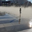 춘천시청 화장실 이미지