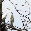 권율대로 이미지