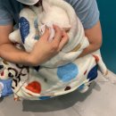 아이조아요양보호소 동탄점 이미지