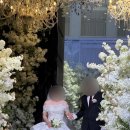 [Wedding]대전 아이폰 스냅 ‘러브팔레트’ 본식 후기