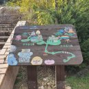 고대산리조트 이미지