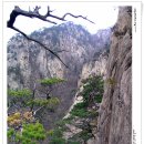 솔밭집민박 이미지