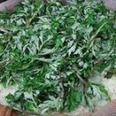 전주전통술박물관 이미지