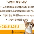 키다리아저씨 동물병원 이미지