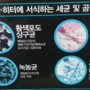 바다랑포도펜션 이미지