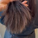 루시헤어 | 부천중동 미용실 추천 헤어루시 매직 솔직후기