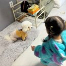 하이플레임 스테이 이미지