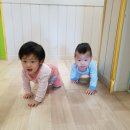 한나어린이집 이미지