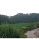 고단3리 이미지