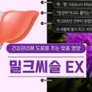 [간 건강 총정리] 노화 방지와 독소 제거의 비밀