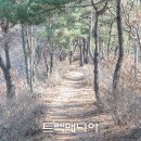 [금산] 금성산 술래길 & 월영산 출렁다리(9/28 토요일) 이미지