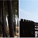 풍경의 바다 이미지