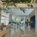 할로브리즈 이미지