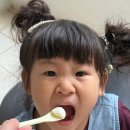 오케이승마목장 네이버블로그