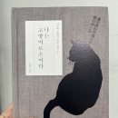 주식회사 앞선환경 | 나쓰메 소세키 <나는 고양이로소이다> 읽고