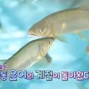 하동약초 이미지