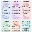 초로기법인 | 초고령 시대, 치매에 대한 심층적 이해와 요양원 맞춤형 케어 전략