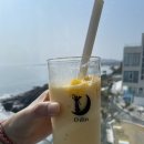 카페오션뷰 네이버블로그