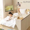 알파안경 | 알파침대 수납 침대프레임 특가 정보 | 30% 할인 LED 서랍형 벙커 슈퍼싱글 퀸 침대 추천