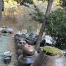 비슬농장식당 | 옥포 송해공원 맛집 꿩샤브샤브 부모님과 식사하기 좋은 곳 비슬농장식당