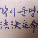 레이디피부관리실
