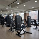 다이어트 스파르타짐 이미지