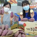 영암농협하나로마트 여성소비자신문