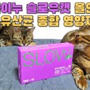 슬로우캣 이미지