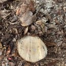 은평-053 이미지