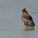 주남저수지 이미지