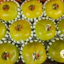 한국1농장 | 한국기행 창원 단감 농장 주문 정보(가을 1번지)