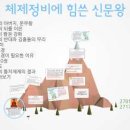 동백동671(중1-2)-동백동668(대1-1) | 신문왕 두문자 : 신 달 정 교 토