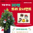 오나먼트플러스