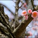 누구하나 이미지