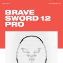 체육관 삼거리 | 배드민턴 라켓 내돈내산 소드12 프로 민턴나라 샵 구매후기 / 금강산 클럽(동호회) 운동, 레슨 할수 있는곳