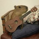 그릿음악학원 | 이 콘서트를 보려고 7년을 버텼다?