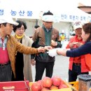 무주반딧불투어 이미지