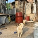 냉림1길 이미지