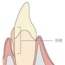 민트치과 이미지