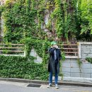 준면이 사진찍은곳 장미맨숀 앞이래 이미지