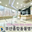 메리 동물병원 이미지