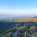 2025.10.22 제주도 한라산 영실코스,올레시장,외돌개,쇠소깍,큰엉해안경승지 이미지