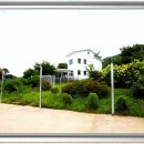 댕댕이애견 이미지