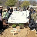 낙성대동-25 경향신문