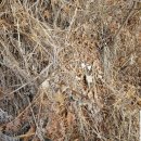 경남건재 이미지