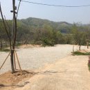 더포레스트 이미지