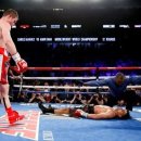 복싱홀릭 이미지