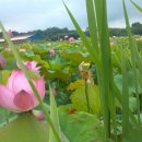 장성 공인중개사사무소 이미지