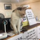 2 DAY무인텔 이미지