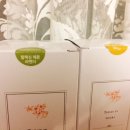 레몬향데이지 이미지